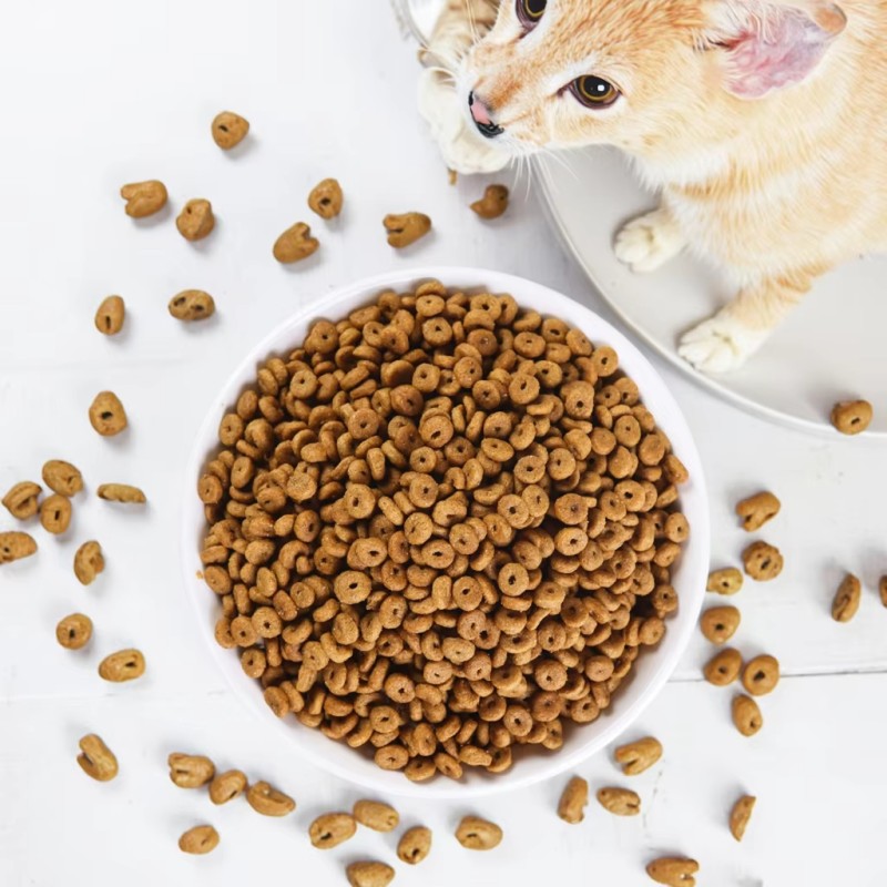 Dry Dog Food Manufacturer - Customizable Private Logo