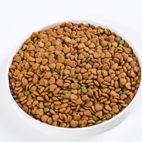Pet Dry Dog Food Factory - Wholesale High Protein Nutrition