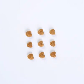 Organic Dry Cat Food Manufacturer - Natural Nutritional Balance