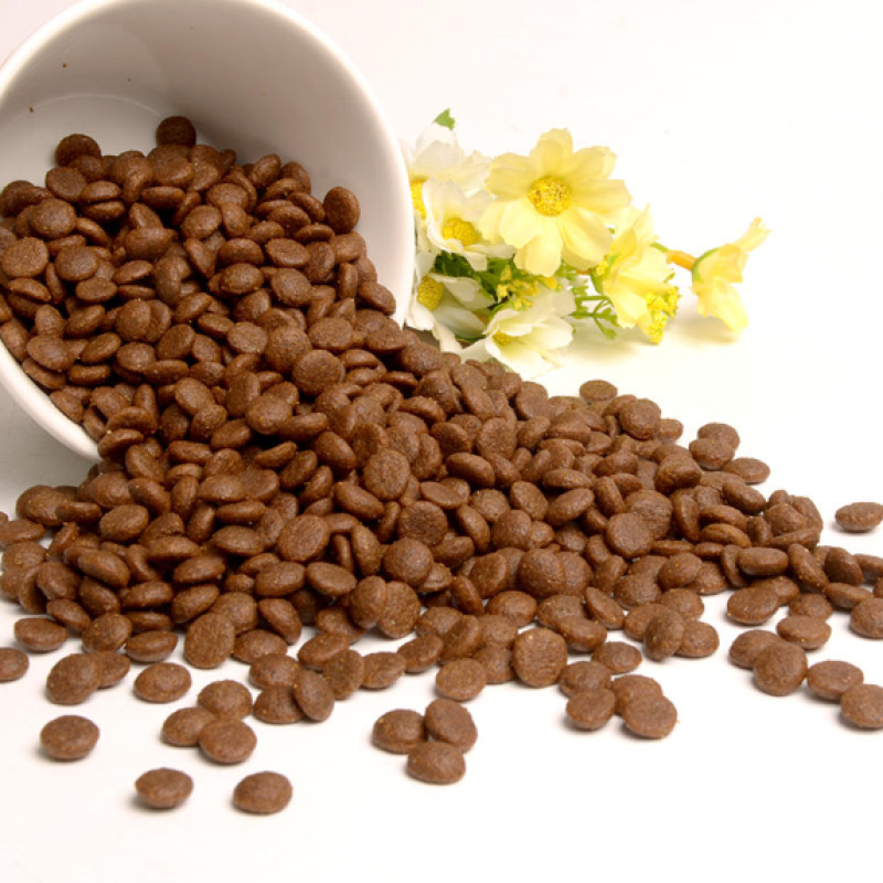 Dog Dry Food Supplier - China Factory Wholesale Bulk