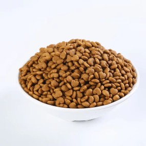 Cat Dry Food Manufacturer - Various Flavors High Protein