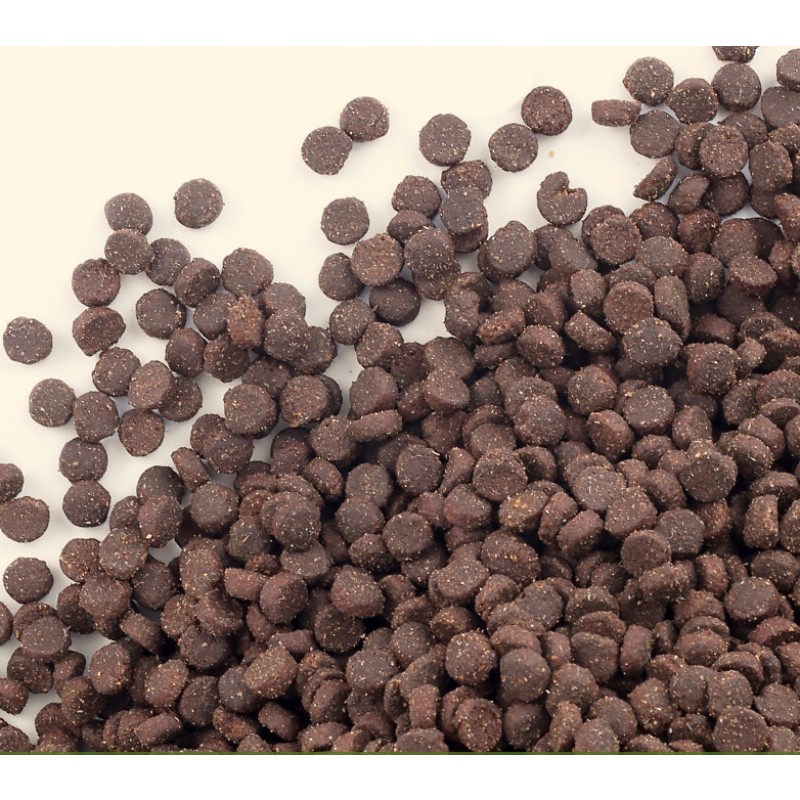 Dry Dog Food Manufacturer - OEM Factory Premium Protein