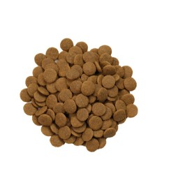 Dog Food Supplier - Factory Supply Wholesale Bulk Dog Food Dry Pet Food OEM