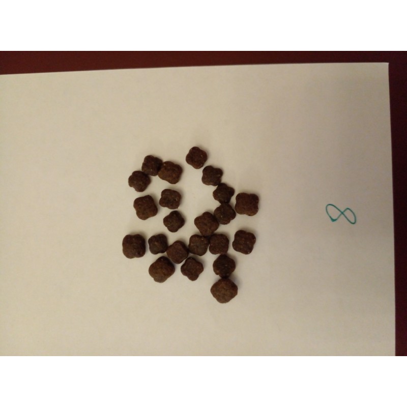 Cat Food Supplier - Wholesale Beef Flavor Cat Food Custom Packing OEM Service