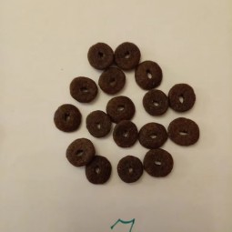 Cat Food Supplier - Wholesale Beef Flavor Cat Food Custom Packing OEM Service