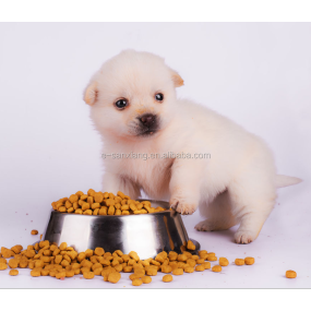 Dog Chews Manufacturer - Wholesale Sea Star Shape Pressed Organic Dog Chews Dog Treats