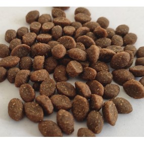 Pet Food Manufacturer - OEM Dry Dog Food Private Label Custom Packing Different Flavors