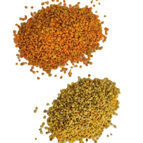 Fresh Bee Pollen Manufacturer - OEM Custom Bulk Pollen