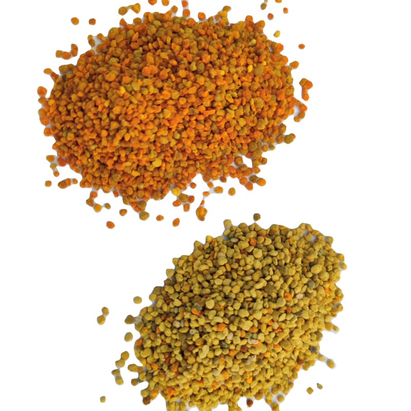 Fresh Bee Pollen Manufacturer - OEM Custom Bulk Pollen