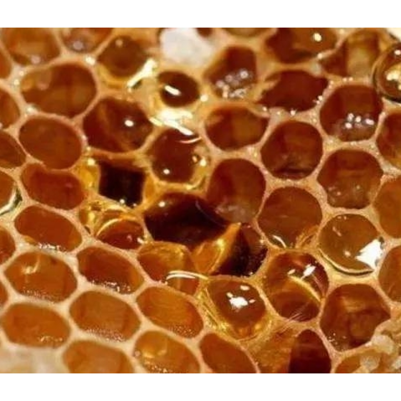 Raw Honeycomb Manufacturer - OEM Custom Unfiltered Beehive