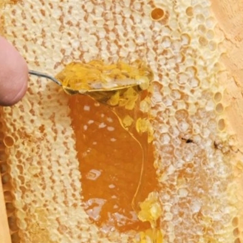 Organic Honey Comb Factory - OEM Custom Raw Honey