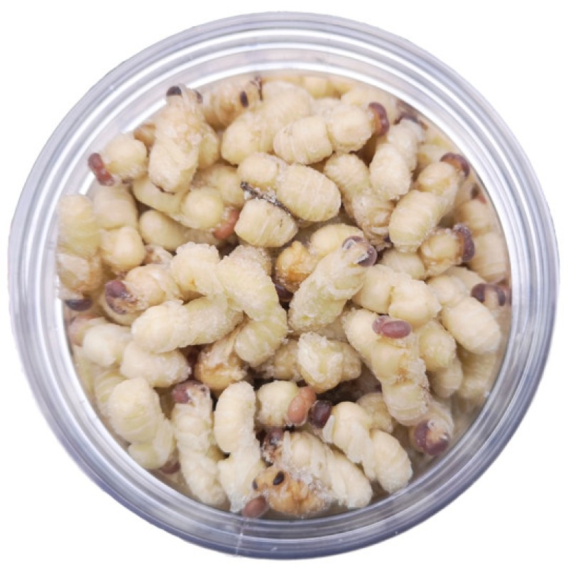 Drone Pupa Powder Manufacturer - OEM Custom Food Grade