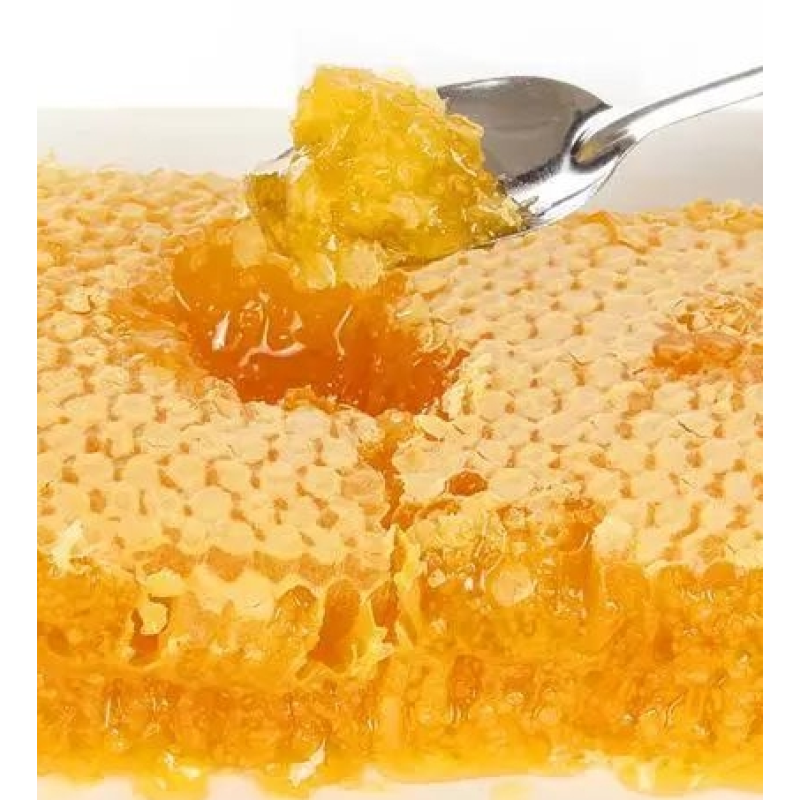 Premium Honeycomb Manufacturer - OEM Custom Comb Honey