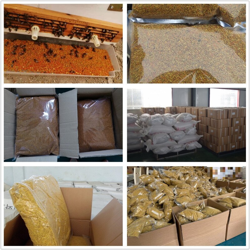 Bee Pollen Powder Manufacturer - Wholesale Custom Organic Rape
