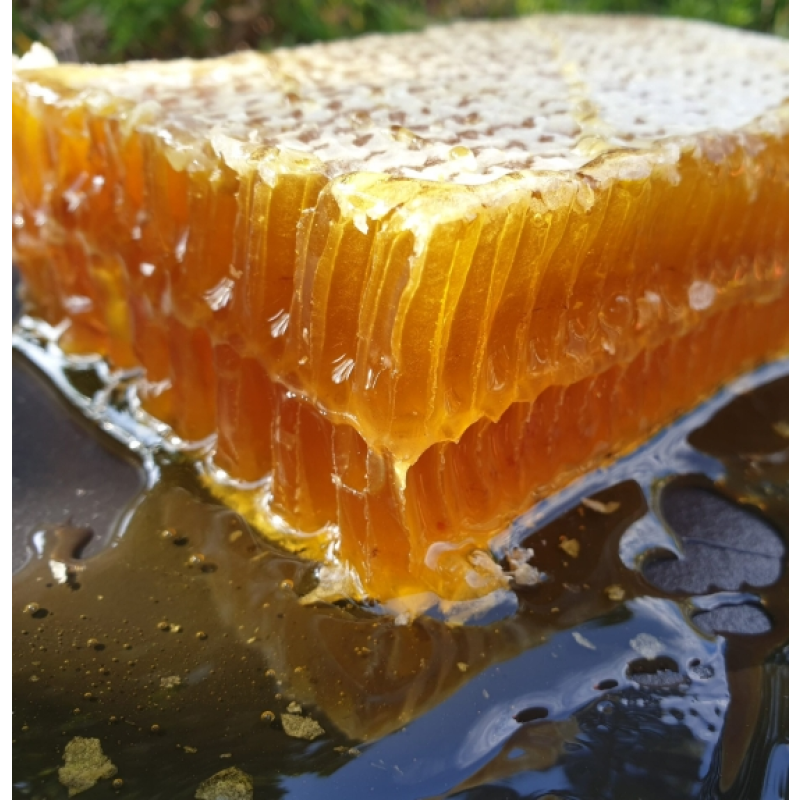 Organic Honey Comb Factory - OEM Custom Raw Honey