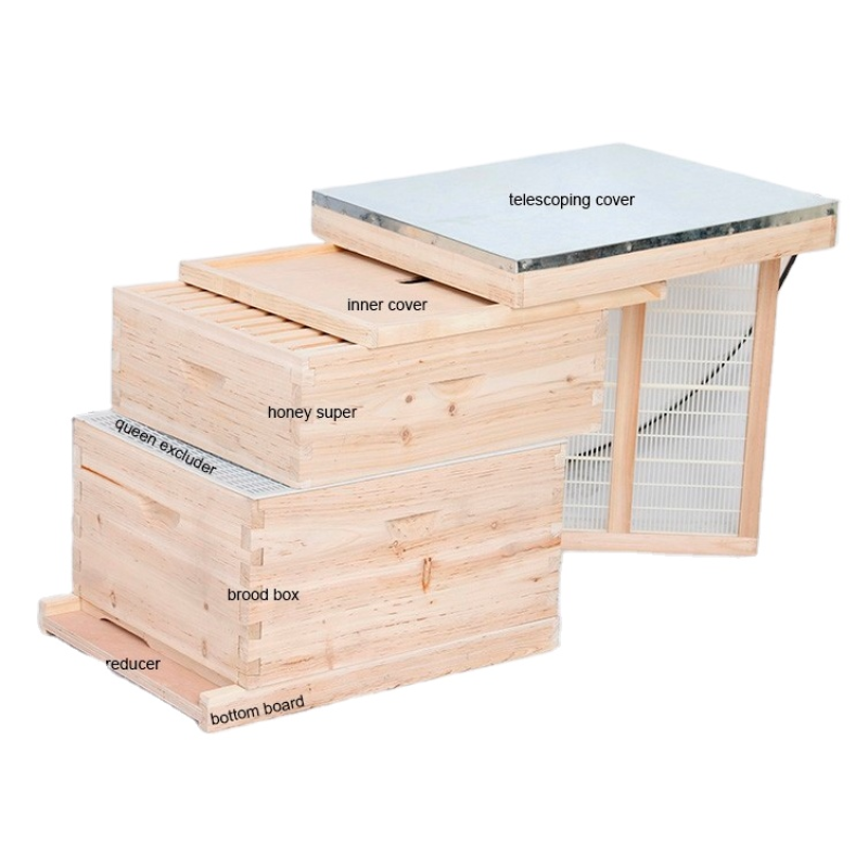 Langstroth Bee Hive Manufacturer - OEM Custom Factory Price