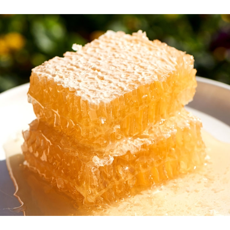 Raw Honey Comb Factory - Wholesale Custom Organic Honey