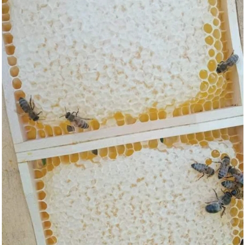 Food Grade Honeycomb Factory - OEM Custom Organic Supplement