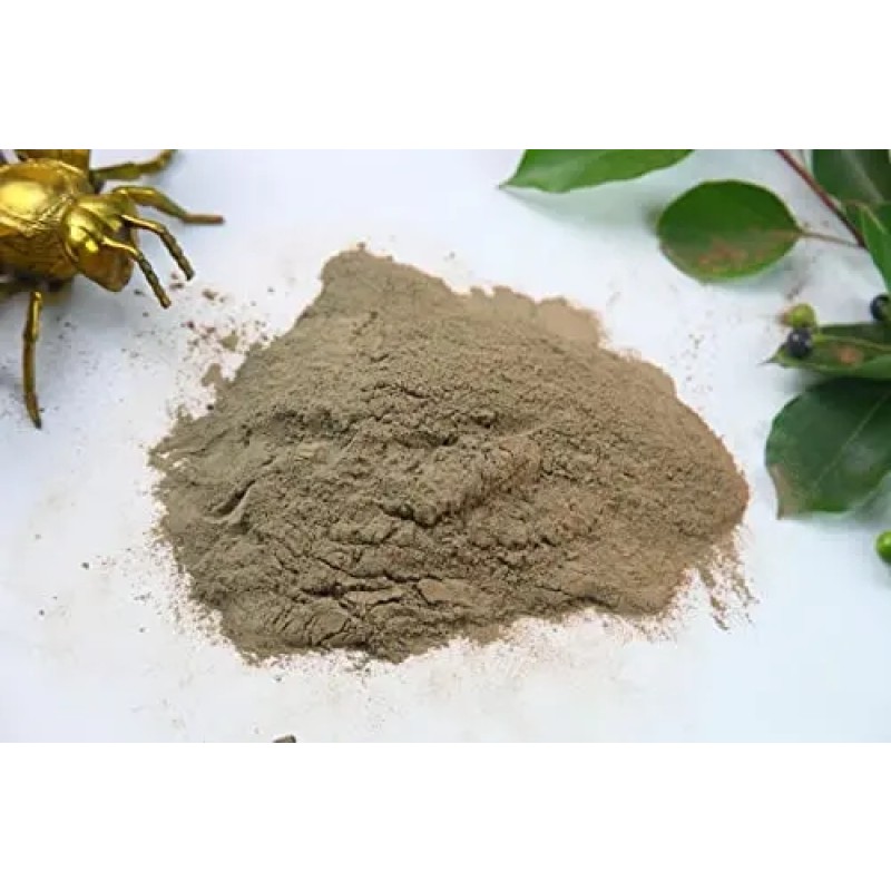 Drone Pupa Powder Manufacturer - OEM Custom Unflavored Premium