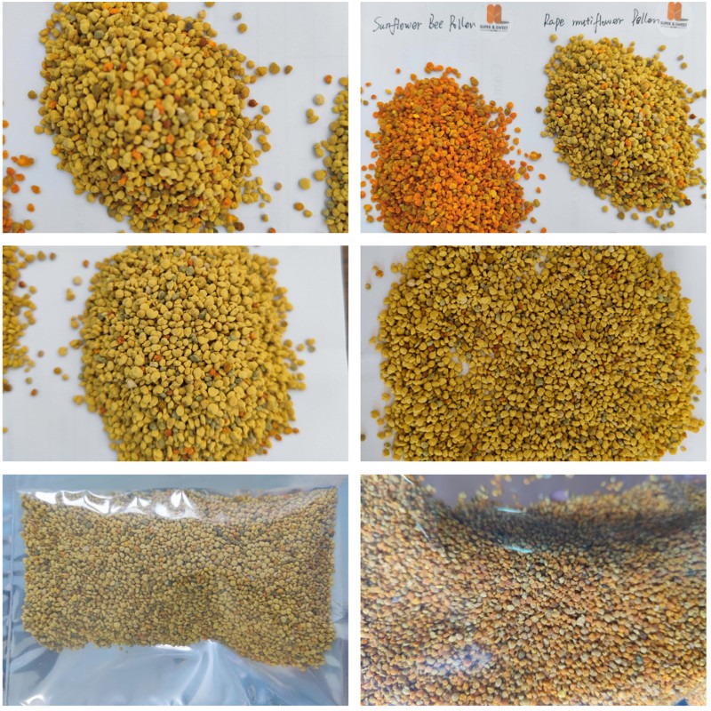 Bee Pollen Powder Manufacturer - Wholesale Custom Organic Rape
