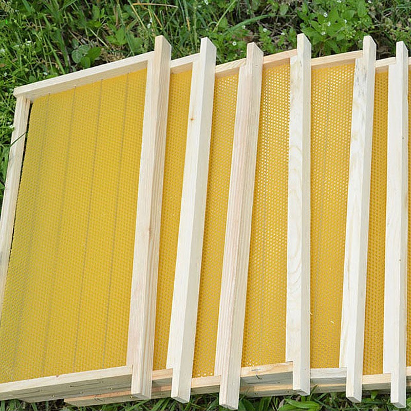 Wooden Bee Frame Manufacturer - OEM Custom Wired Foundation