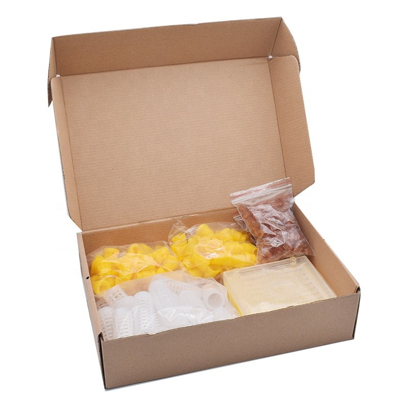 Queen Rearing Kit Factory - OEM Custom Catcher Box System