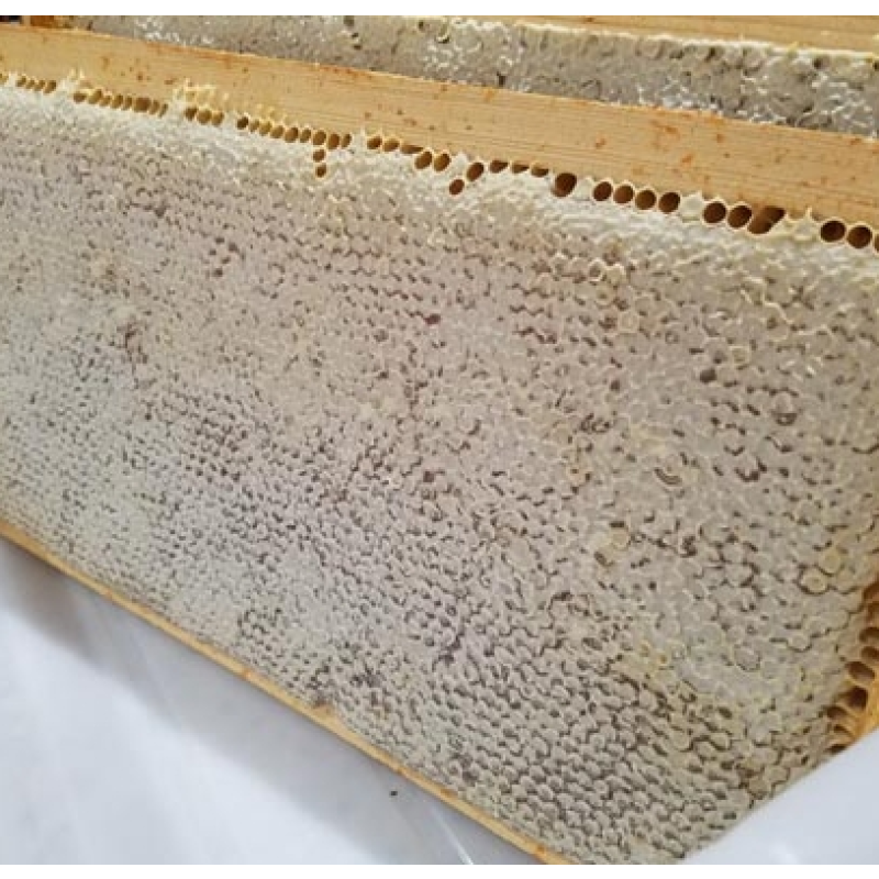 Food Grade Honeycomb Factory - OEM Custom Organic Supplement