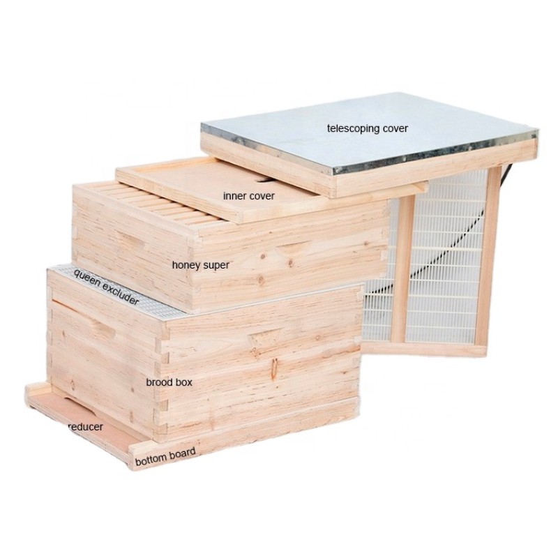 Langstroth Bee Hive Manufacturer - OEM Custom Factory Price