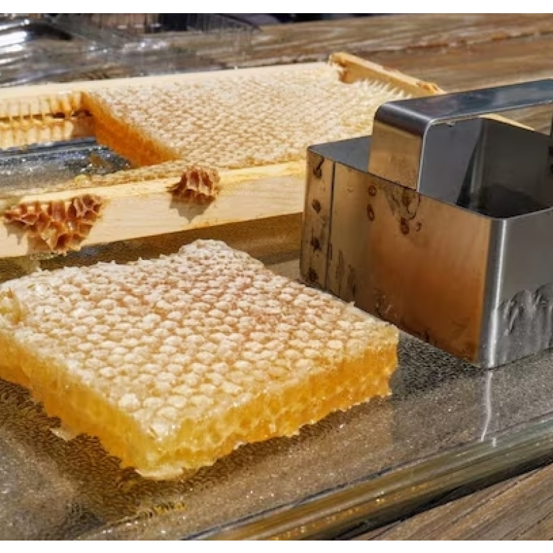 Raw Honeycomb Factory - OEM Custom Edible Bee Product