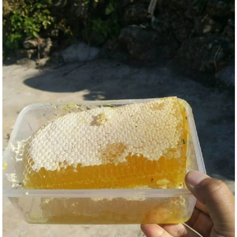 Organic Comb Honey Factory - Wholesale Custom Raw Bee Honey