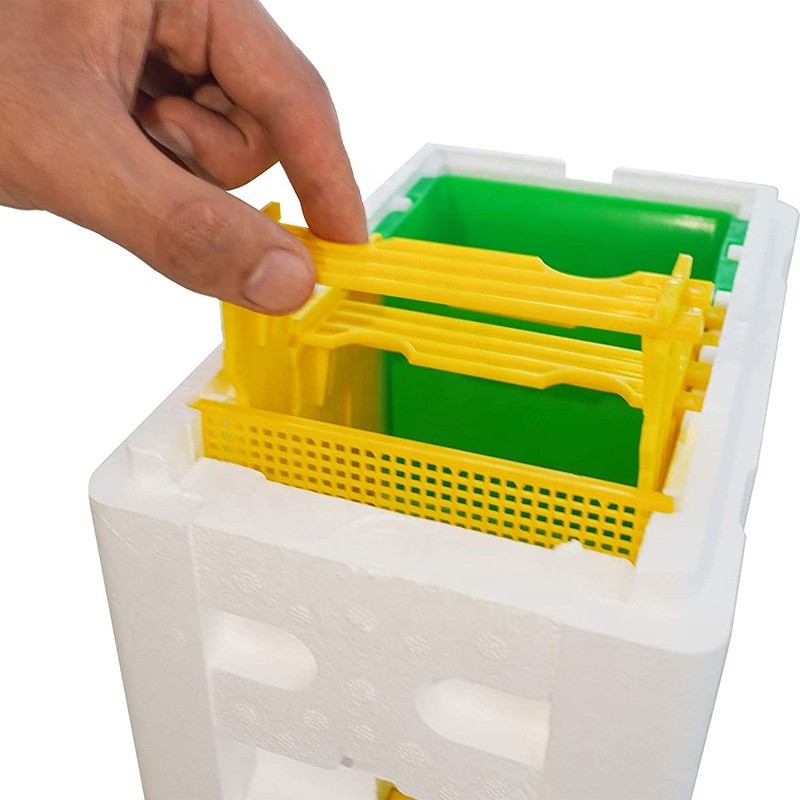 Plastic Mating Nuc Factory - OEM Custom Foam Bee Box