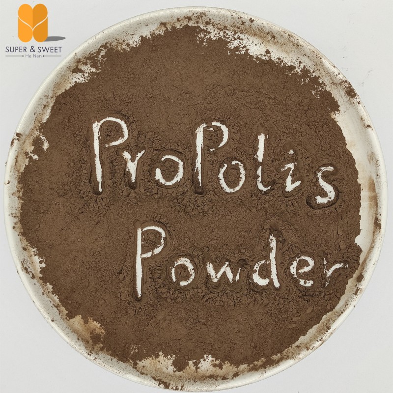Bee Propolis Powder Manufacturer - OEM Custom 70% P.E.