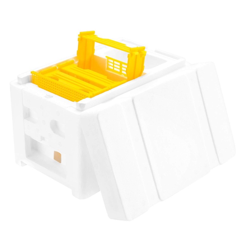 Queen Breeding Box Factory - OEM Custom Foam Nuc Hive