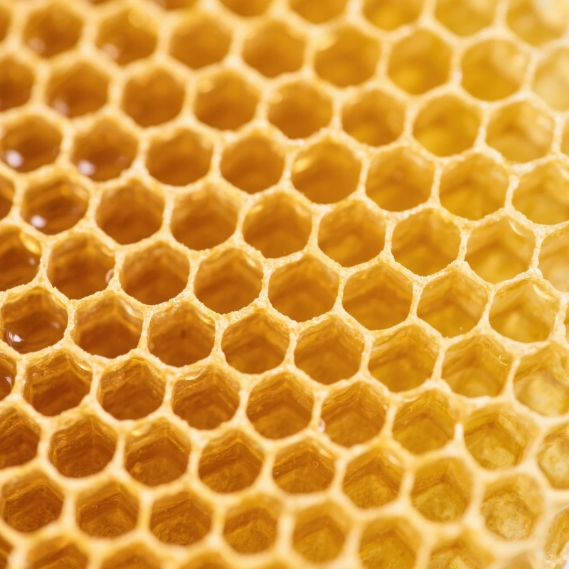 Raw Wildflower Honeycomb Manufacturer - OEM Custom Natural Honey