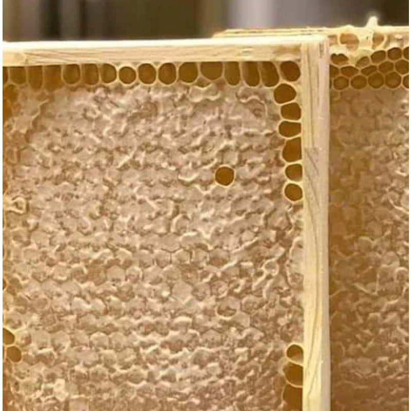Premium Honeycomb Manufacturer - OEM Custom Comb Honey