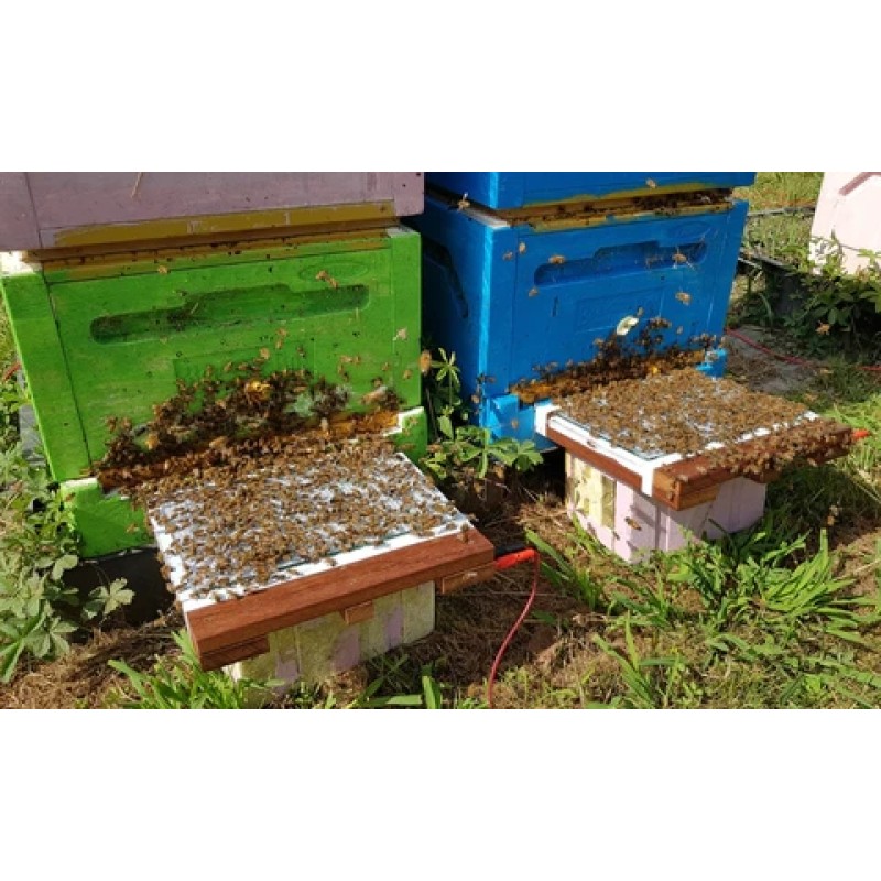 Bee Venom Powder Manufacturer - OEM Custom Cosmetic Grade