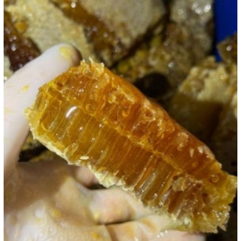 Organic Comb Honey Factory - Wholesale Custom Raw Bee Honey