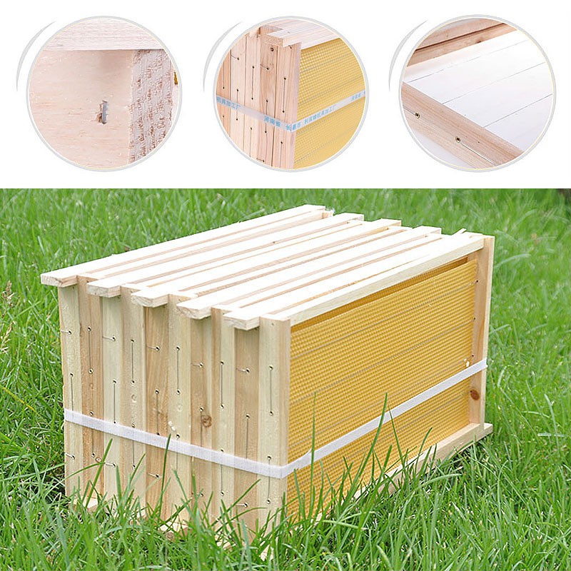 Wooden Bee Frame Manufacturer - OEM Custom Wired Foundation