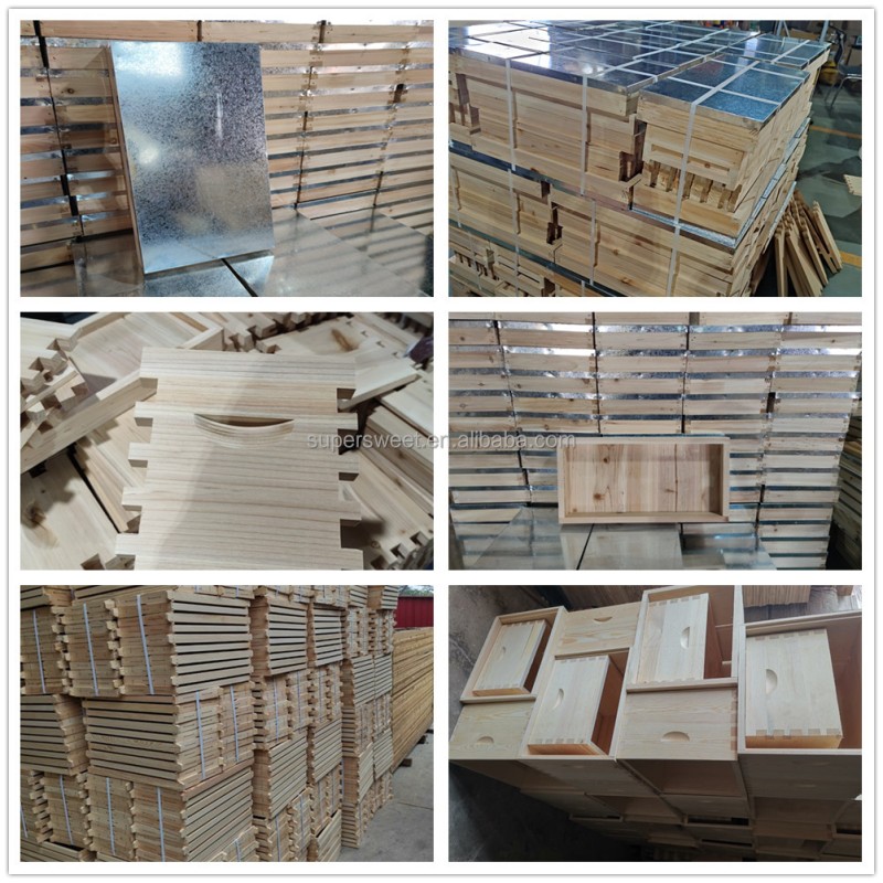 Australia Bee Hive Factory - OEM Custom Wooden Beehive Box