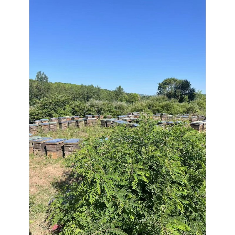 Bee Venom Powder Manufacturer - OEM Custom Natural Extract