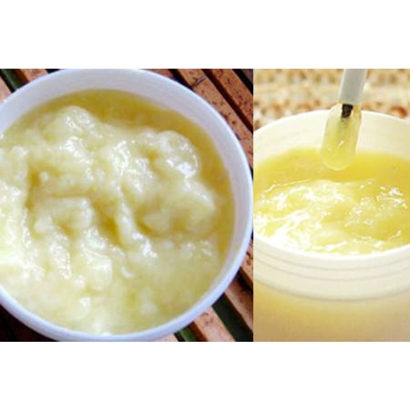 Fresh Royal Jelly Manufacturer - OEM Custom Halal Bee Milk
