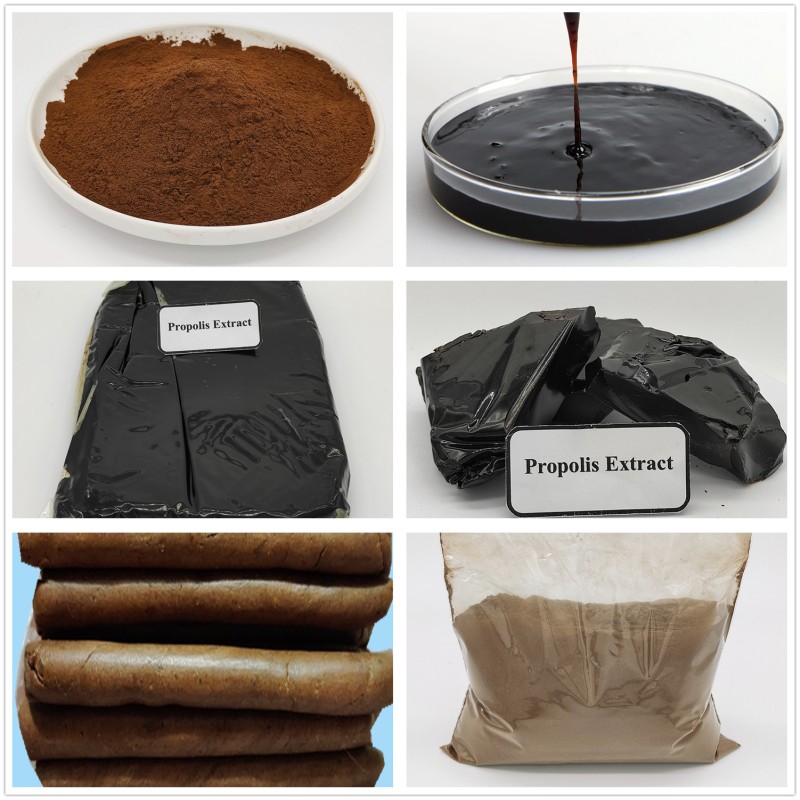 Propolis Extract Powder Factory - OEM Custom Bee P.E.