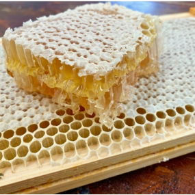 Food Grade Honeycomb Factory - OEM Custom Organic Supplement