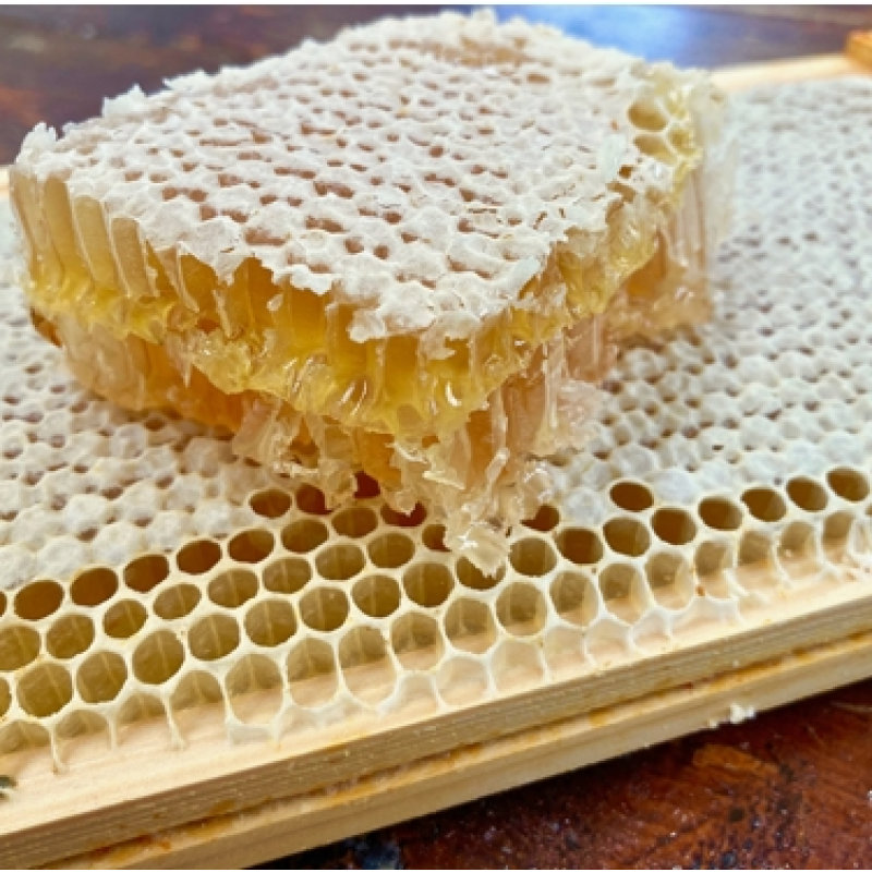 Food Grade Honeycomb Factory - OEM Custom Organic Supplement
