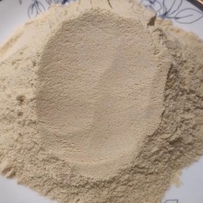 Queen Bee Larva Powder Factory - OEM Custom Lyophilized