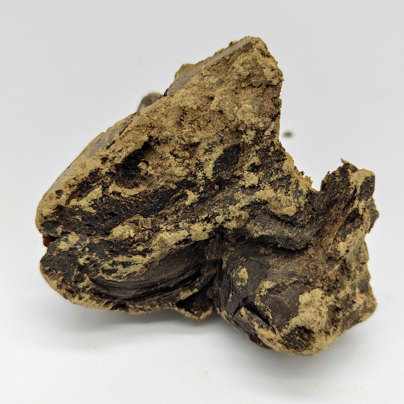 Raw Propolis Factory - OEM Custom Organic Wholesale