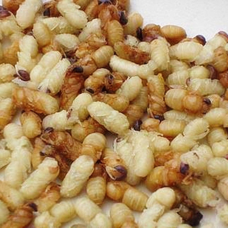 Drone Pupa Powder Factory - OEM Custom Pupal Insect Powder