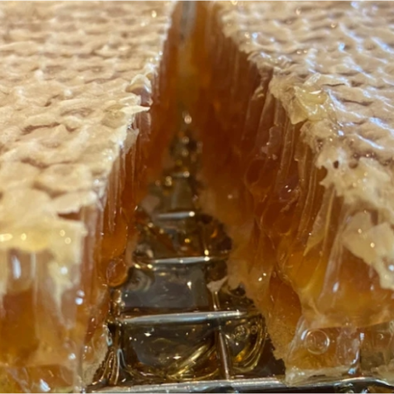 Premium Honeycomb Manufacturer - OEM Custom Comb Honey