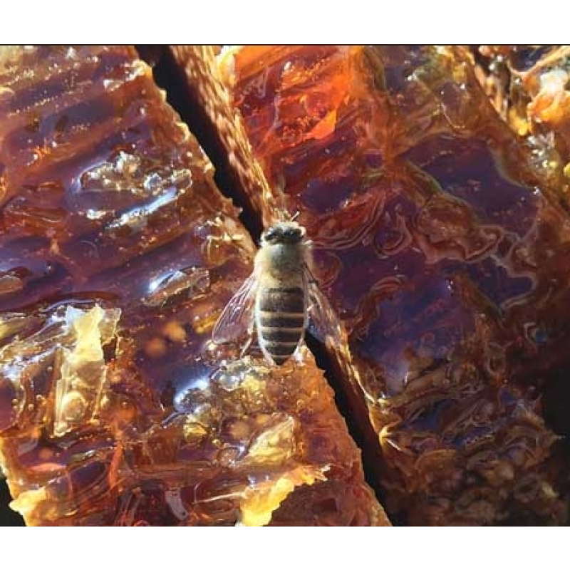 Honeycomb Honey Manufacturer - Wholesale Custom Comb Honey