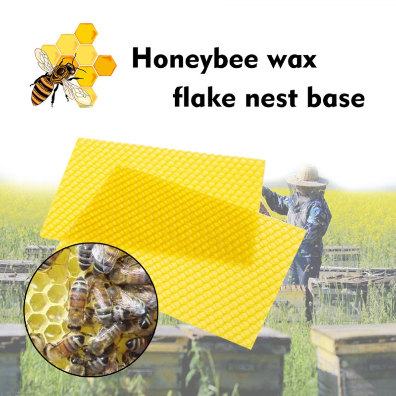 Natural Beeswax Foundation Factory - OEM Custom Comb Sheet